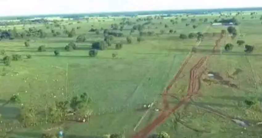 Fazenda à venda, area rural de sao felix do araguaia - mt - são félix do araguaia/mt