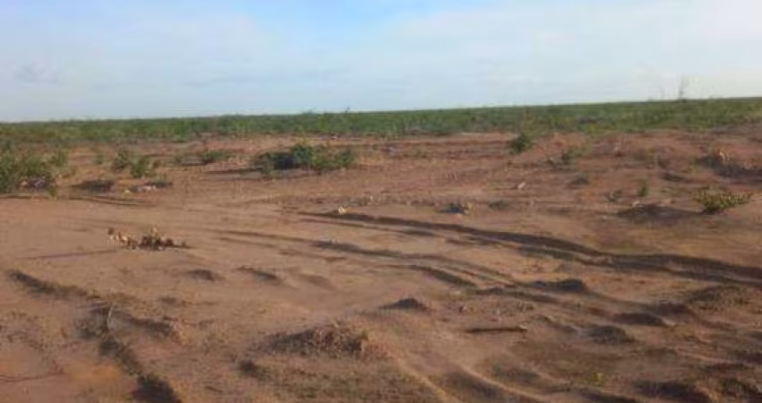 Fazenda à venda, AREA RURAL DE ALVORADA DO GURGUÉIA - PI - Alvorada do Gurguéia/PI