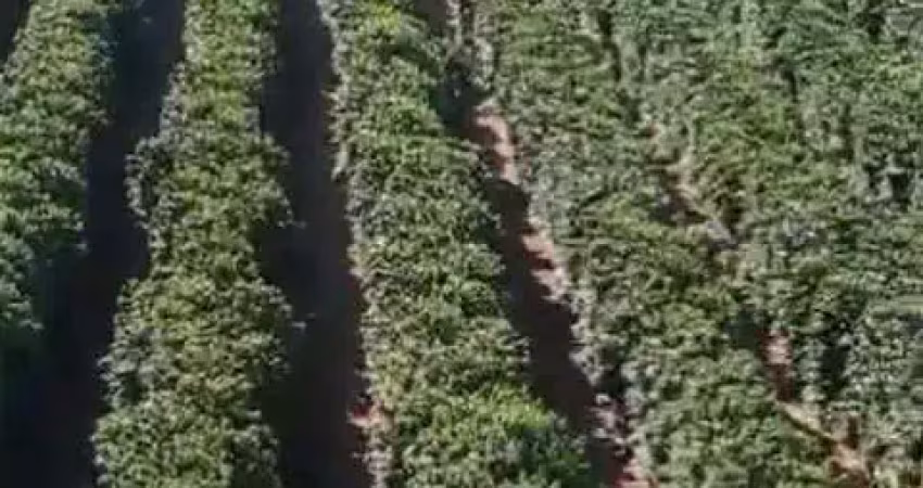 Chácara / sítio à venda na AREA RURAL DE IBIÁ - MG, Zona Rural, Ibiá