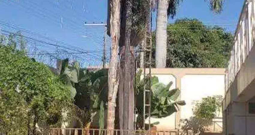 Casa com 4 quartos para alugar na Rua dos Canarinhos, Cidade Jardim, Uberlândia