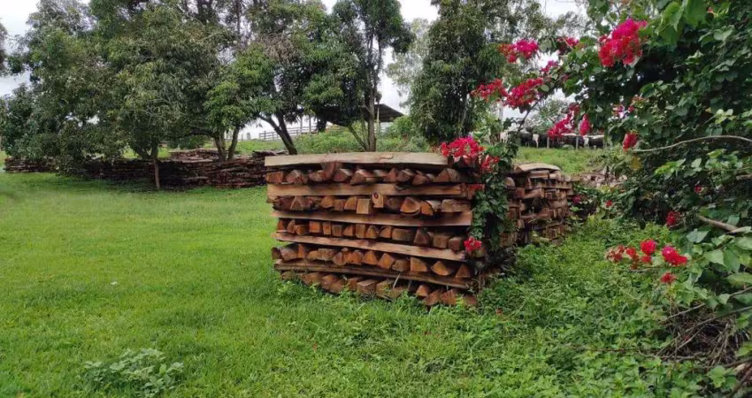 Fazenda à venda, area rural de perdizes - mg - perdizes/mg