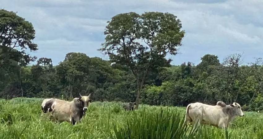 Fazenda à venda, área rural de joão pinheiro - joão pinheiro/mg