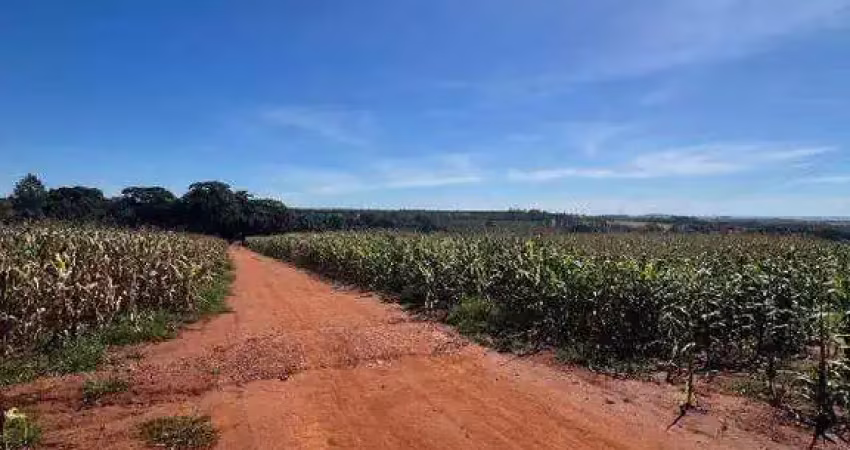 Fazenda à venda, área rural de uberlândia - uberlândia/mg