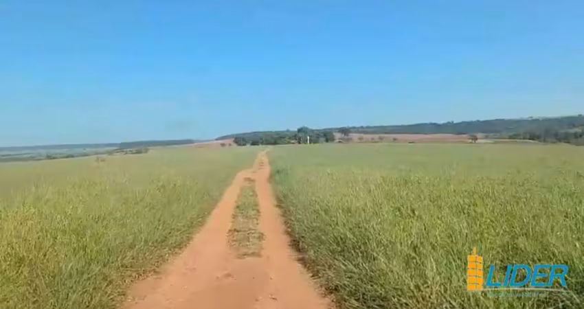 Excelente fazenda dupla aptidão com 411,40 hectares à venda próxima a uberlândia/mg