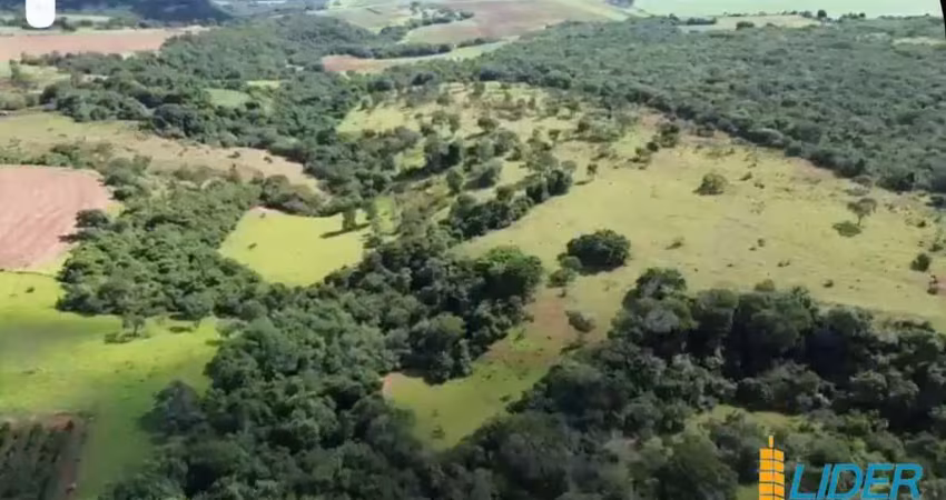 Excelente fazenda dupla aptidão com 125 hectares à venda no município de araguari - mg