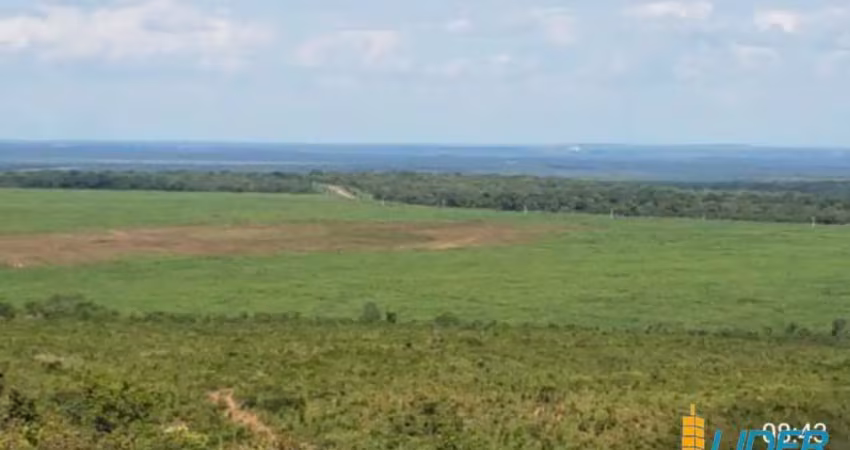 Excepcional fazenda dupla aptidão com 8.000 hectares e muito bem estruturada à venda em balsas/ma