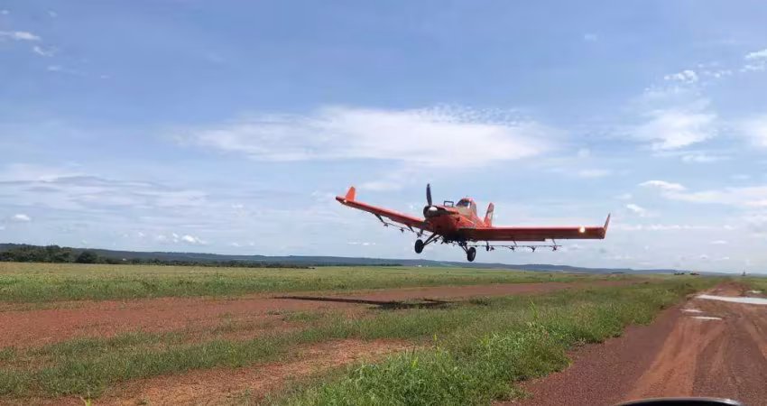 Excepcional fazenda dupla aptidão com 17.500 hectares à venda próxima a água boa/mt