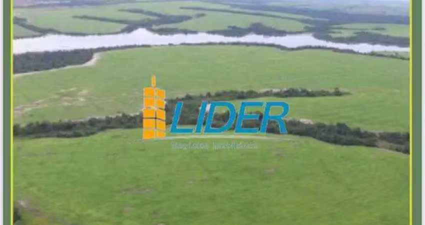 Excepcional fazenda dupla aptidão com 17.000 hectares à venda 'porteira fechada' em araguaína - to