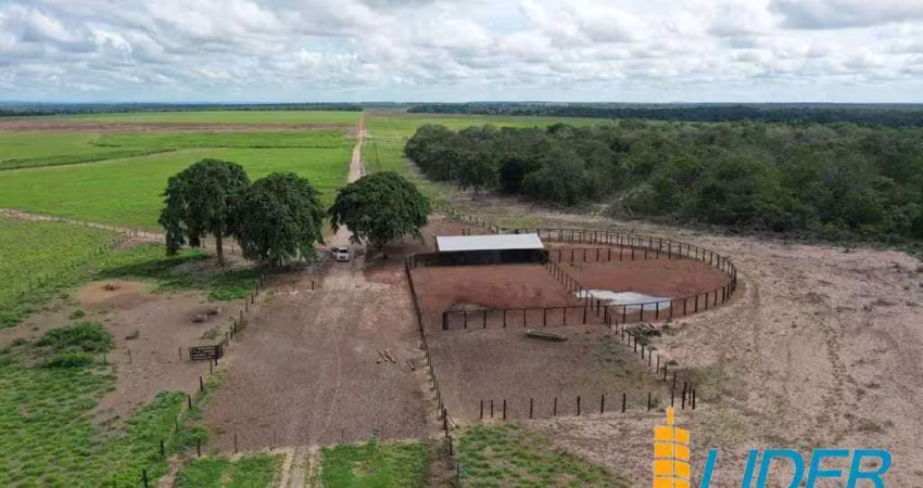 Excepcional fazenda dupla aptidão com 4.808 hectares e muito bem estruturada à venda em riachão - ma