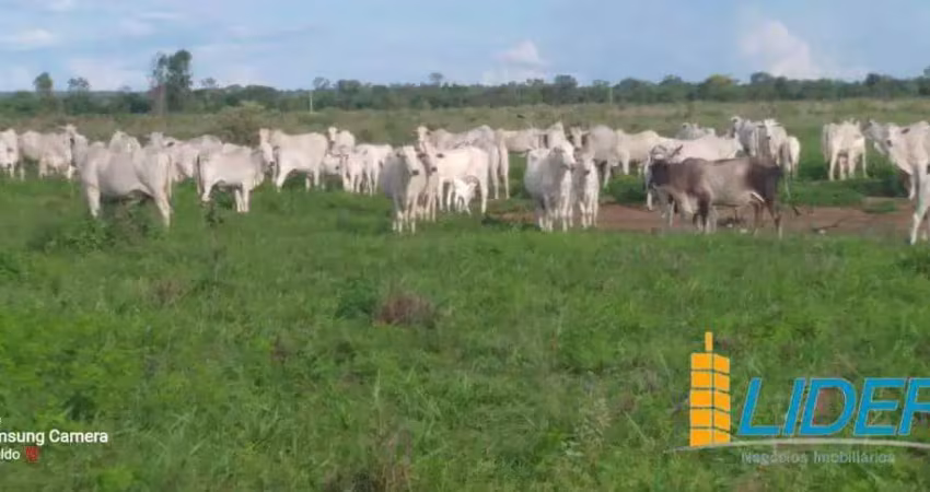 Excepcional fazenda dupla aptidão com 5.600 hectares à venda no município de buritizeiro/mg
