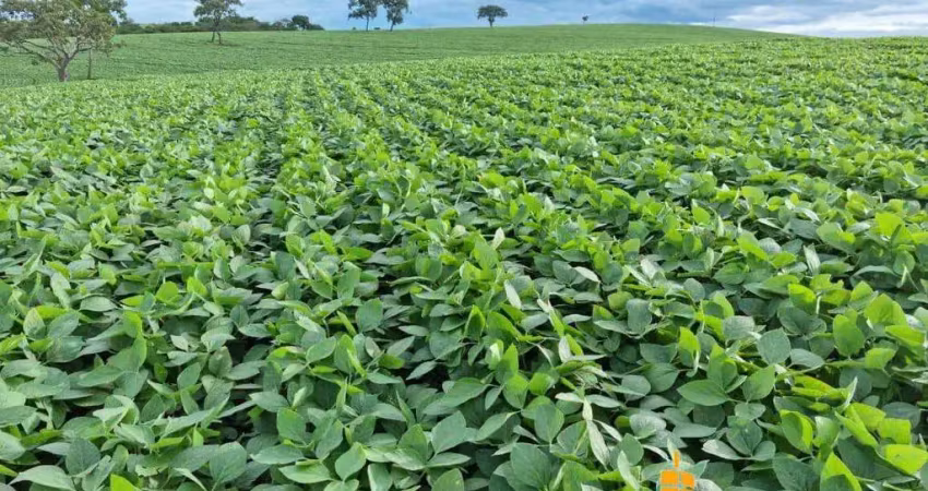 Excelente fazenda dupla aptidão com 227,48 hectares à venda em tupaciguara - mg