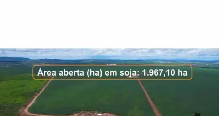 Fantástica fazenda dupla aptidão com 2.249 hectares e muito bem estruturada à venda em doverlândia - go
