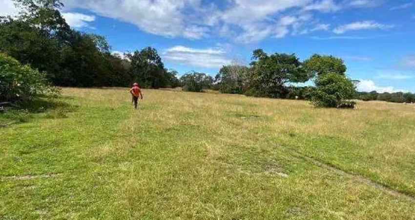 Excelente fazenda dupla aptidão com 3.300 hectares e boas estruturas à venda em santarém - pa