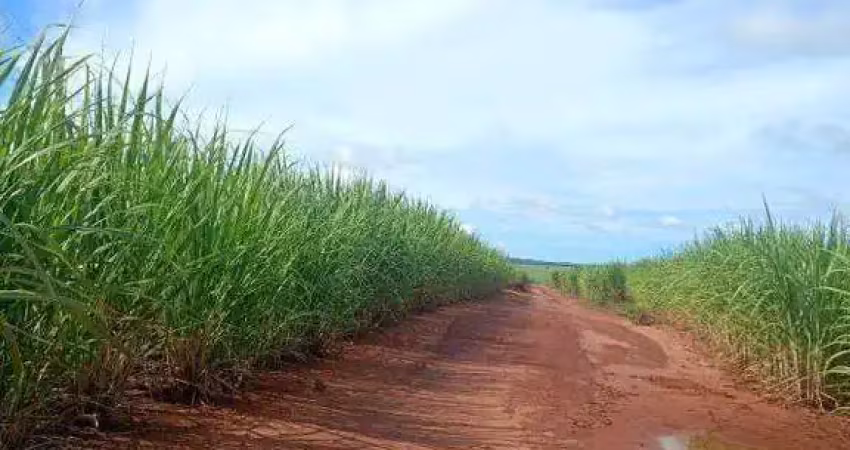 Excelente fazenda dupla aptidão com 493,26 hectares à venda em frutal - mg