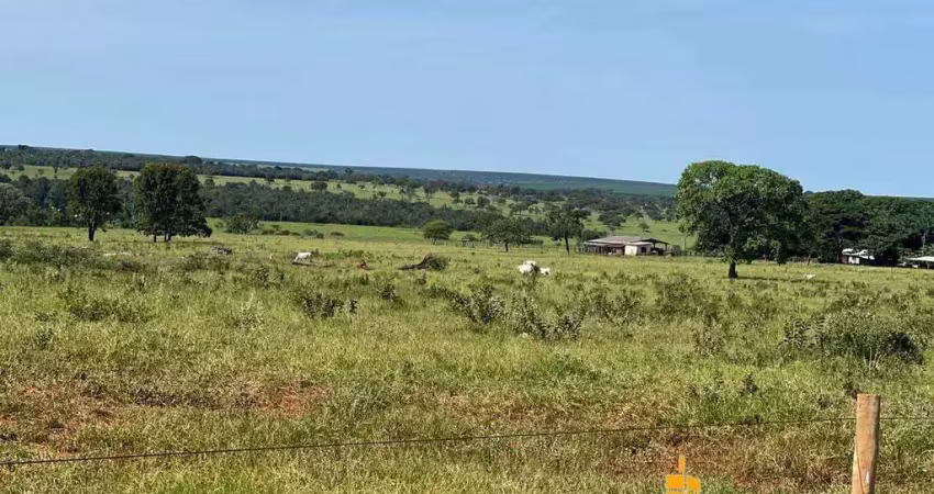 Excelente fazenda dupla aptidão com 396,88 hectares e bem estruturada à venda em uberlândia - mg