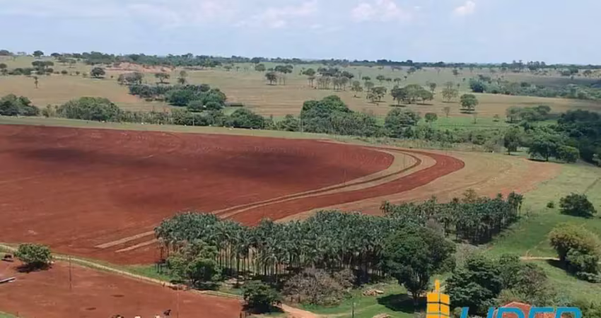 Excelente fazenda dupla aptidão com 246,84 hectares, com ótima estrutura à venda em cruzeiro dos peixotos - mg