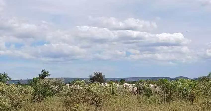 Excelente fazenda dupla aptidão com 4.583 hectares à venda em mambaí - go