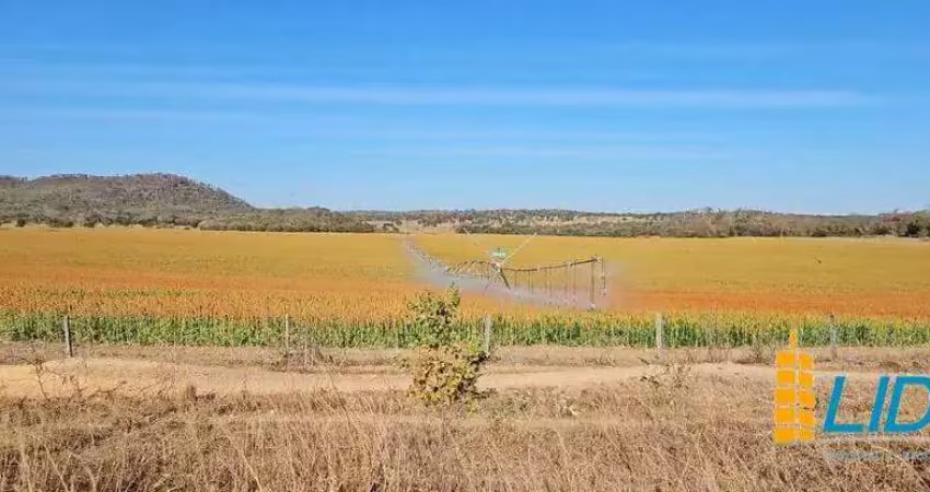 Excelente fazenda dupla aptidão com 517 hectares e ótimas estruturas à venda em paracatu - mg
