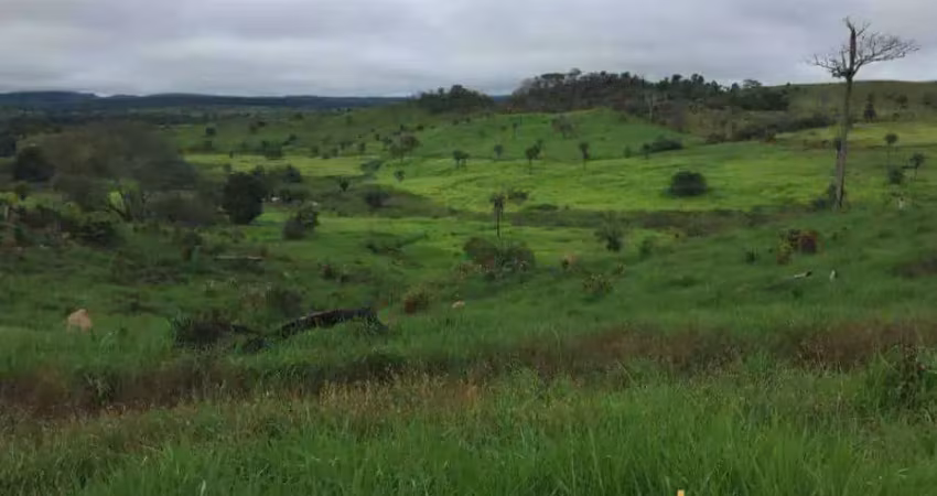 Excelente fazenda dupla aptidão com 1.195,48 hectares e boas estruturas à venda em floresta do araguaia - pa