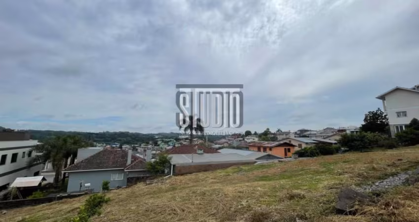 Terreno à venda em Vitória, Carlos Barbosa 