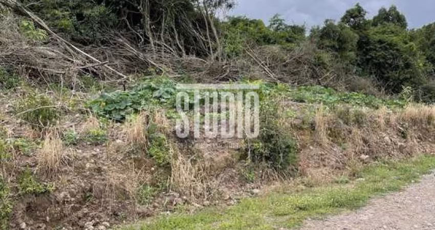 Terreno à venda na Linha 12, Carlos Barbosa 