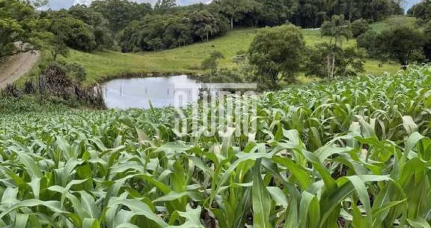 Terreno à venda na Linha 12, Carlos Barbosa 