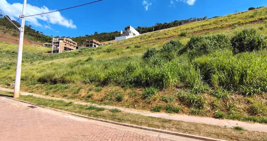 Terreno em condomínio fechado à venda na Rua Professor Virgílio Pereira da Silva, Vina Del Mar, Juiz de Fora