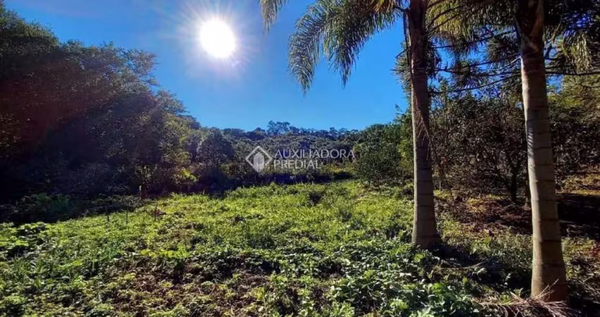 Casa com 2 quartos à venda na Figueira Grande, 3745, Morro da Borússia, Osório