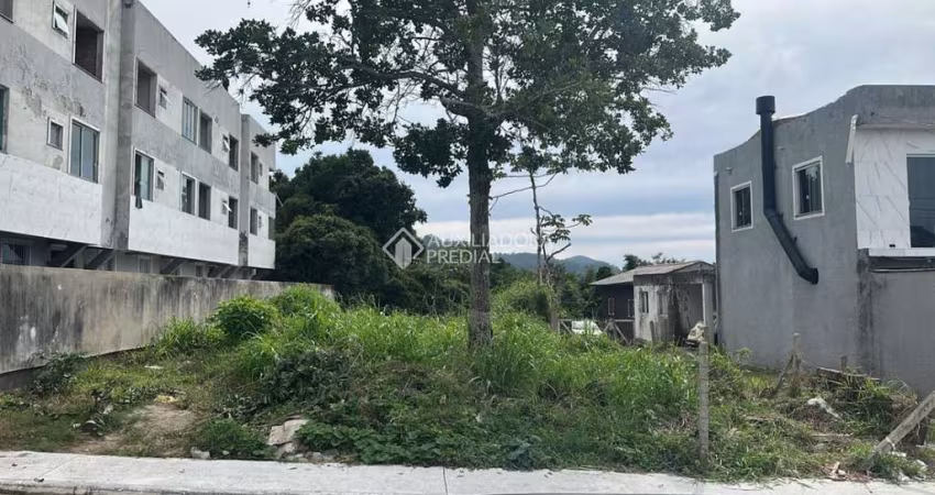 Terreno comercial à venda na Servidão Vicentina Custódia dos Santos, 59, Ingleses do Rio Vermelho, Florianópolis