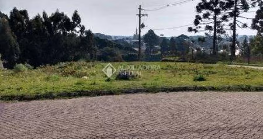 Terreno à venda na Conselho Comunitário, 200, Centro, São Francisco de Paula