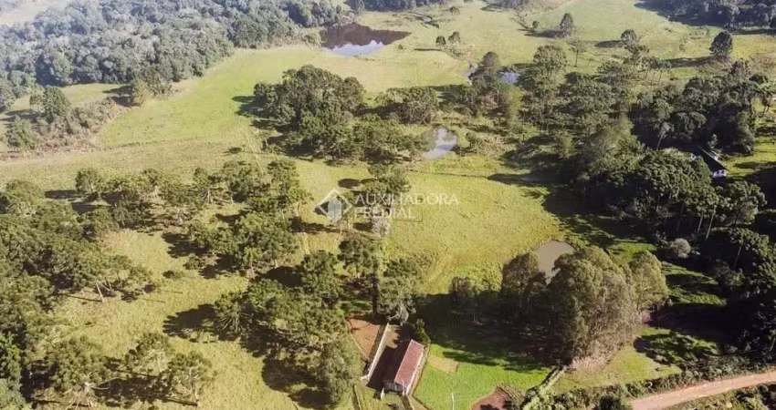 Fazenda à venda na São Francisco, 1, Centro, São Francisco de Paula