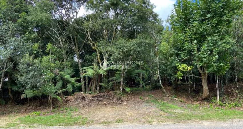 Terreno à venda na Dos Alpes, 6, Centro, São Francisco de Paula