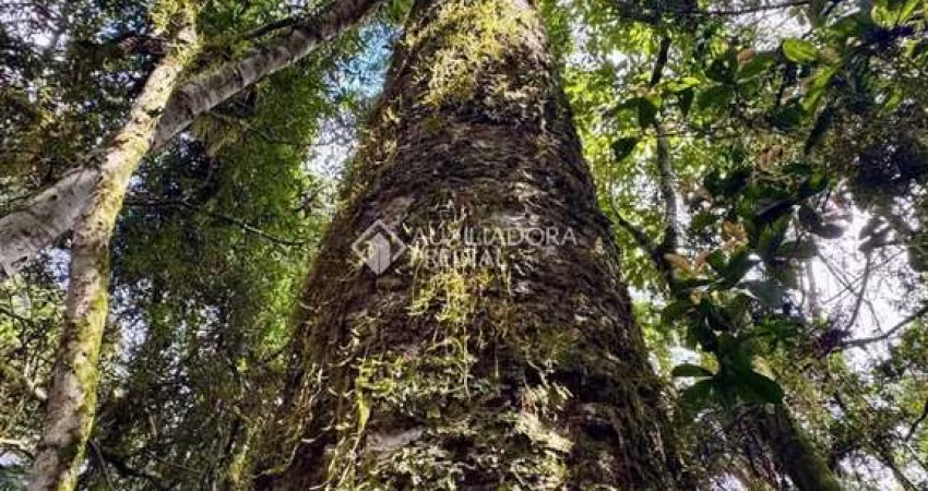 Terreno à venda na Maracajás, 5, Loteamento Colinas de são Francisco, São Francisco de Paula