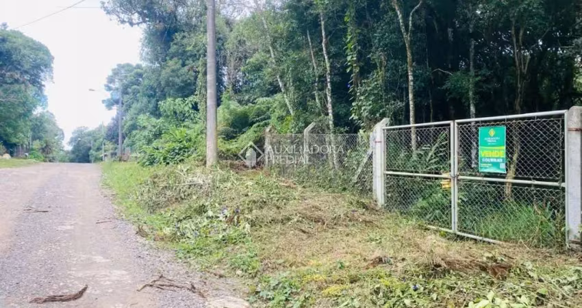 Terreno à venda na São Gotardo, 45, São Bernardo, São Francisco de Paula