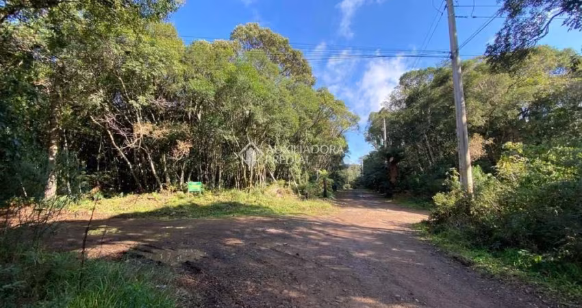 Terreno à venda na Quatis, 100, Colinas, São Francisco de Paula