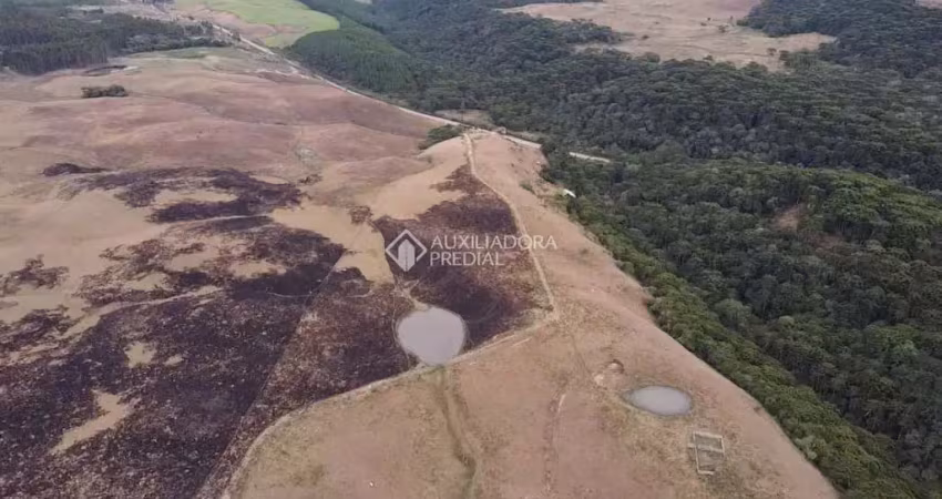 Fazenda à venda na Rs020, 200, Centro, Cambará do Sul