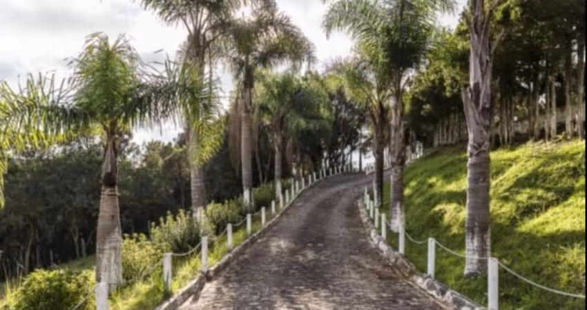 Fazenda para Venda - Roça Velha
