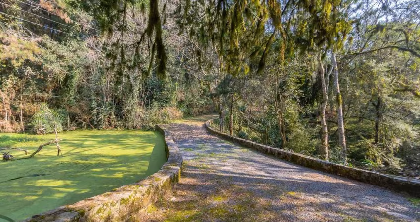 Chácara 62.550m² no Rondinha - Campo Largo
