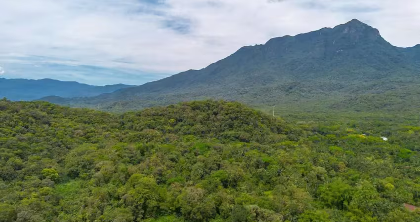 Chácara / sítio com 6 quartos à venda na Rodovia Mário Marcondes Lobo, Km 8, Porto de Cima, Morretes