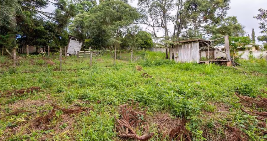 Terreno Próximo Alphaville Campo Largo
