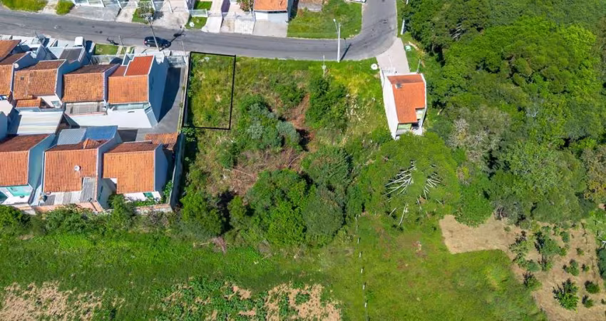 Terreno Campo Largo 105m²
