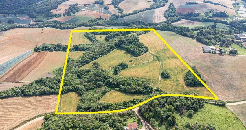 Area de 6 alqueires Campo Magro