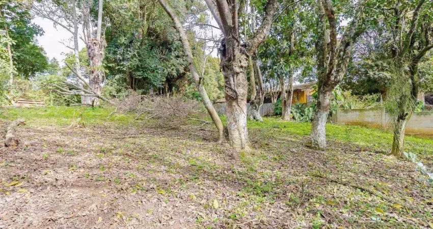 Terreno comercial à venda na Rua Eduardo Sprada, 3335, Campo Comprido, Curitiba