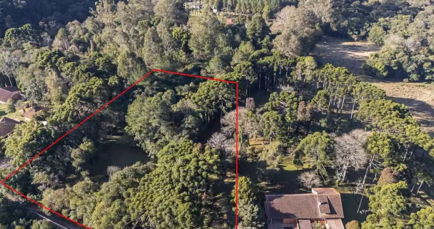 Chácara / sítio com 1 quarto à venda na Rua Ângelo Merotto, SN, Rondinha, Campo Largo