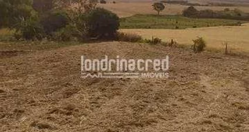 Terreno à venda 1200M², Warta, Londrina - PR