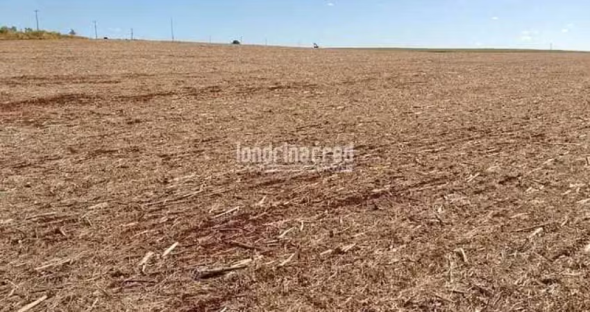 Chácara à venda 3000m², centro, cornélio procópio - pr