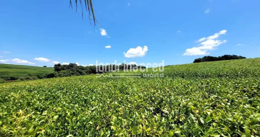 Chácara / sítio à venda no Warta, Londrina 