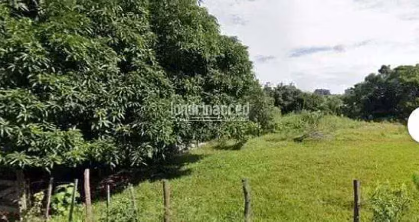 Terreno à venda 2000m², condomínio vale do arvoredo, londrina - pr