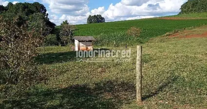 Chácara à venda Zona Rural, Laranjeiras do Sul - PR