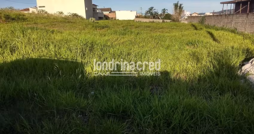 Terreno à venda 36000M², Centro, Jacarezinho - PR